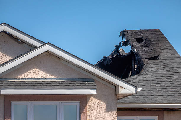 Top rated local Fire Damage Removal specialists in Renton, WA